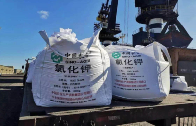 ���r���F���_2020����һ����̘I������h