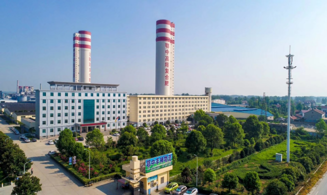 �������B(t��i)ӭ�ׂ�(g��)ȫ��(gu��)���B(t��i)����׌�Gɫ���B(t��i)�ɞ���|(zh��)���l(f��)չ�ĵ�ɫ