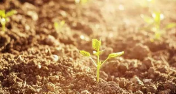 �`����Ҫ����  �����Ҫ���o---�ͬ���LՄ902.png